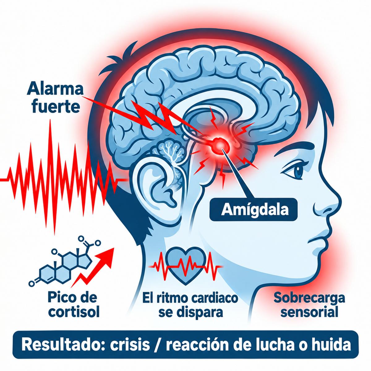 Pulsera Auralis, despertador vibratorio silencioso